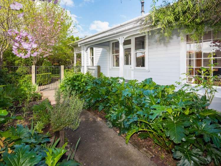 8 Fulton Street Springlands_15