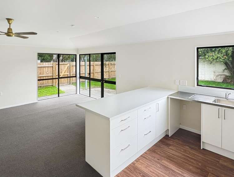 12/17 Swansea Road 10480_3