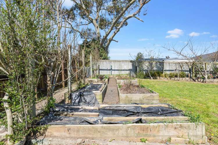 36 Edinburgh Avenue Rosehill_20