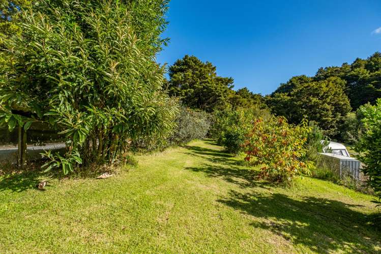 373 Fern Flat Road Peria_18