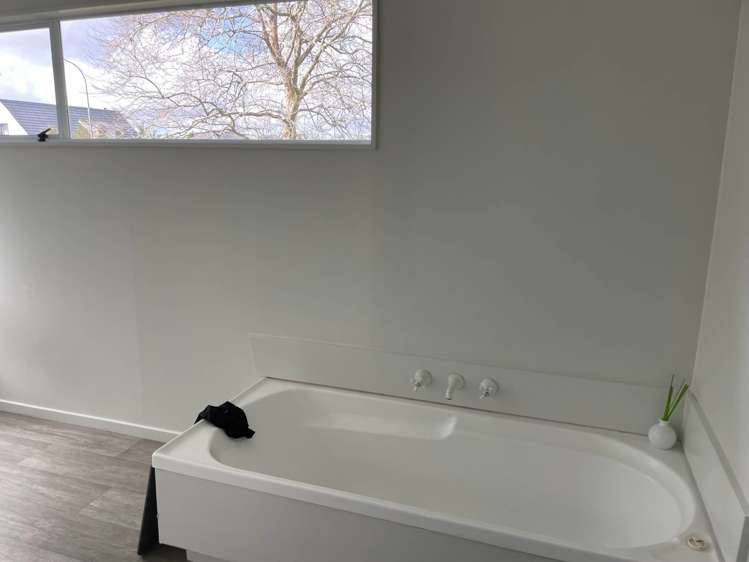 39 Palomino Drive Henderson_19