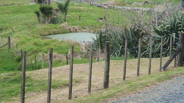 4 Kendall Road Maungakaramea_24