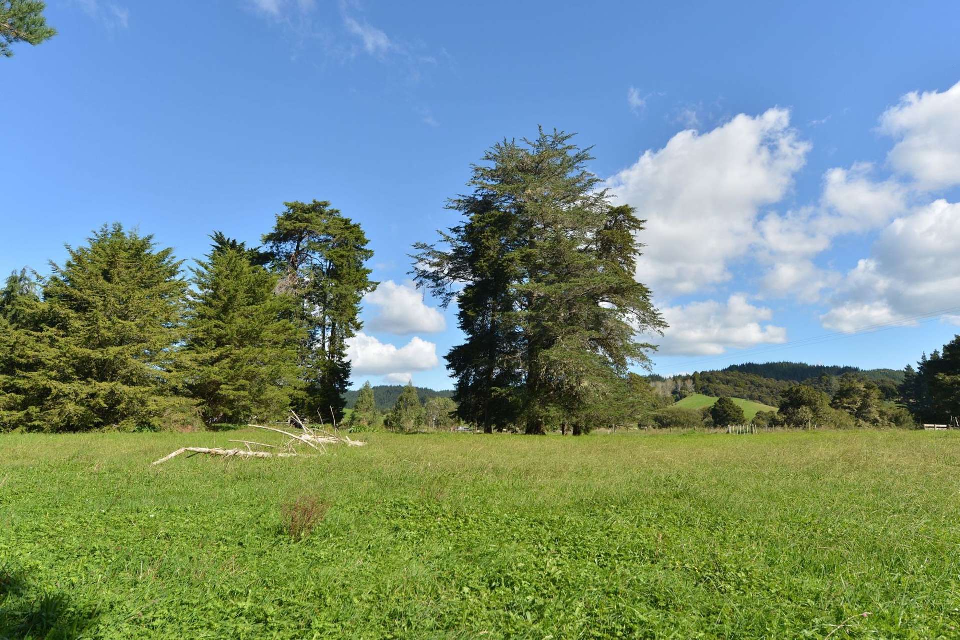 127 Mcbreen Road Hikurangi_0