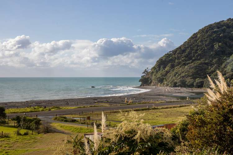 2784 State Highway 35 Opotiki_20