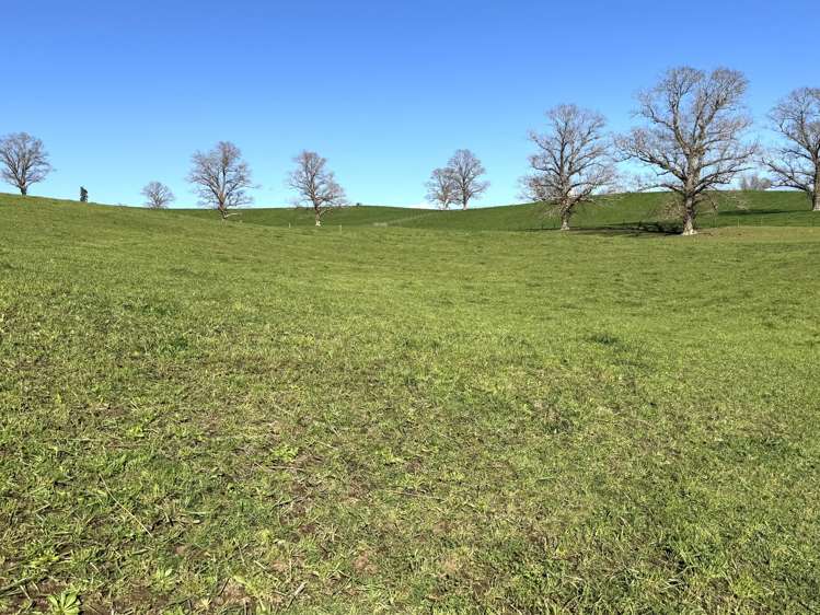 233B Kio Kio Station Road Otorohanga_25