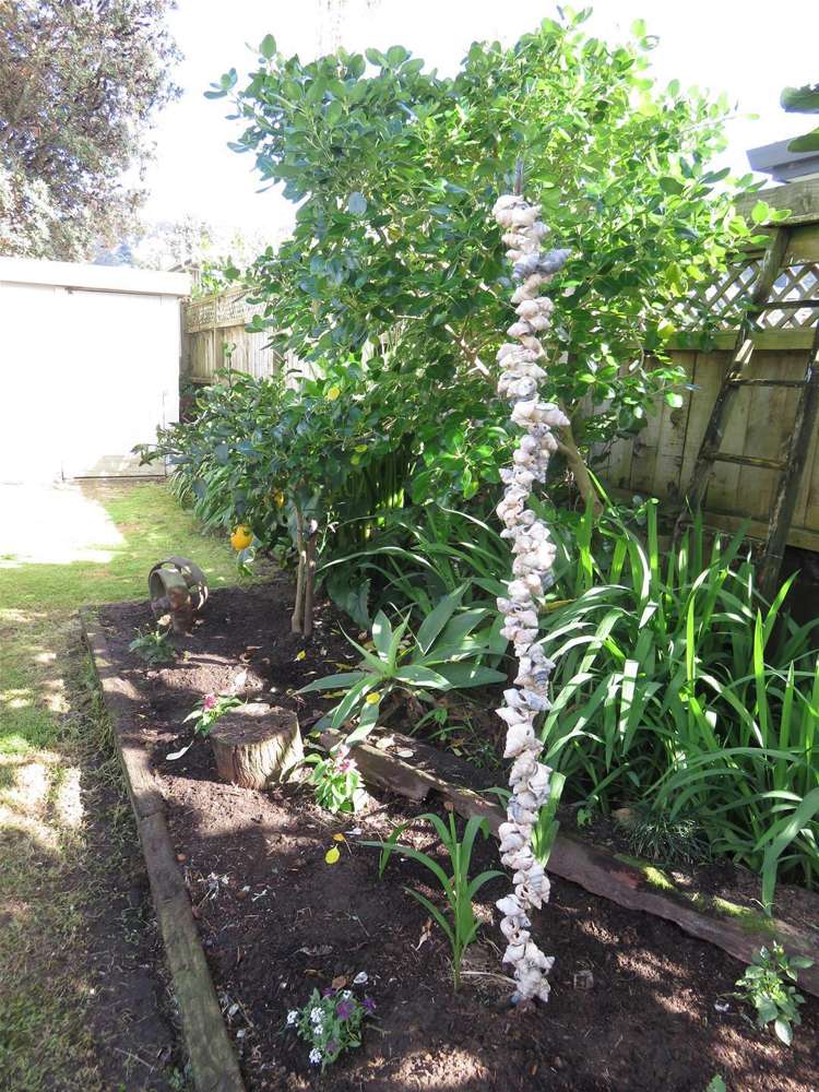 15 Marine Avenue Waihi Beach_26