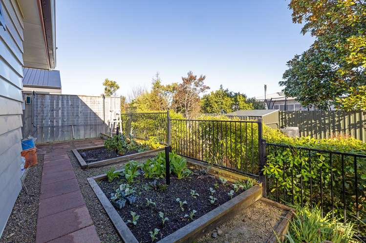 21 Tarata Grove Masterton_18