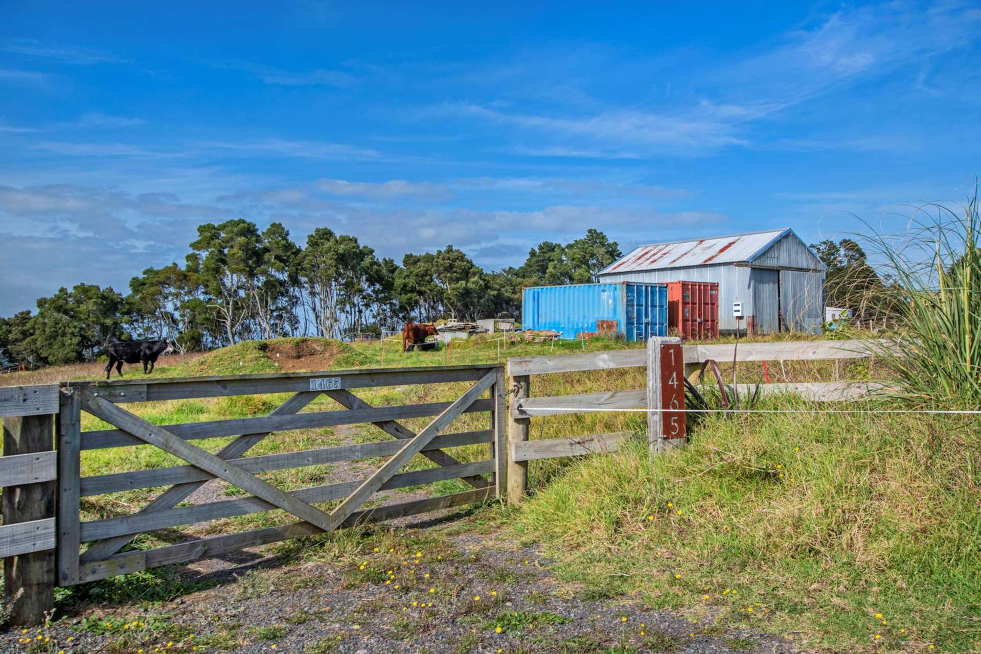 1465 Ruapekapeka Road Kawakawa Far North Houses for Sale One Roof