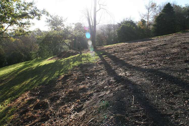 5a Thoreau Street Concord_2