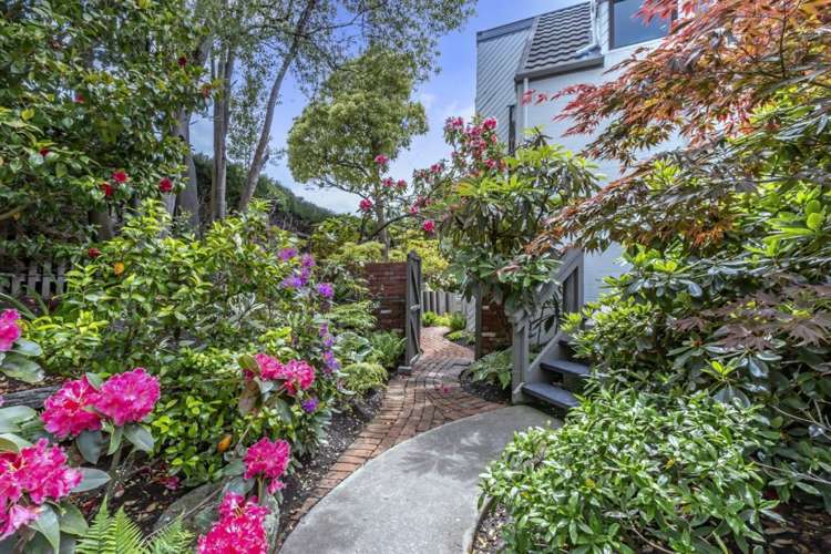 43 Kidson Terrace Cashmere_5