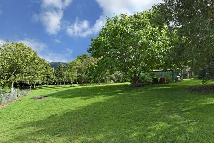 313 Kaiuma Bay Road Havelock_19