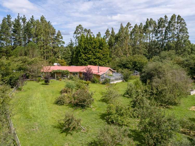 839B Chester Road West Taratahi_26
