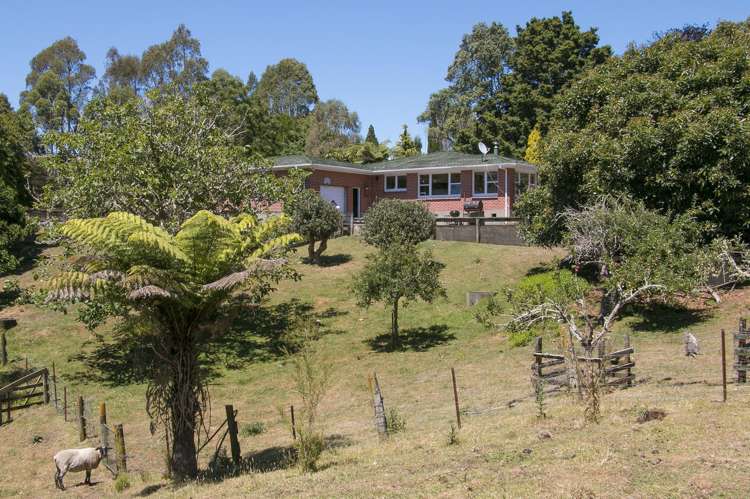 62 Tuapiro Road Hauraki Surrounds_16