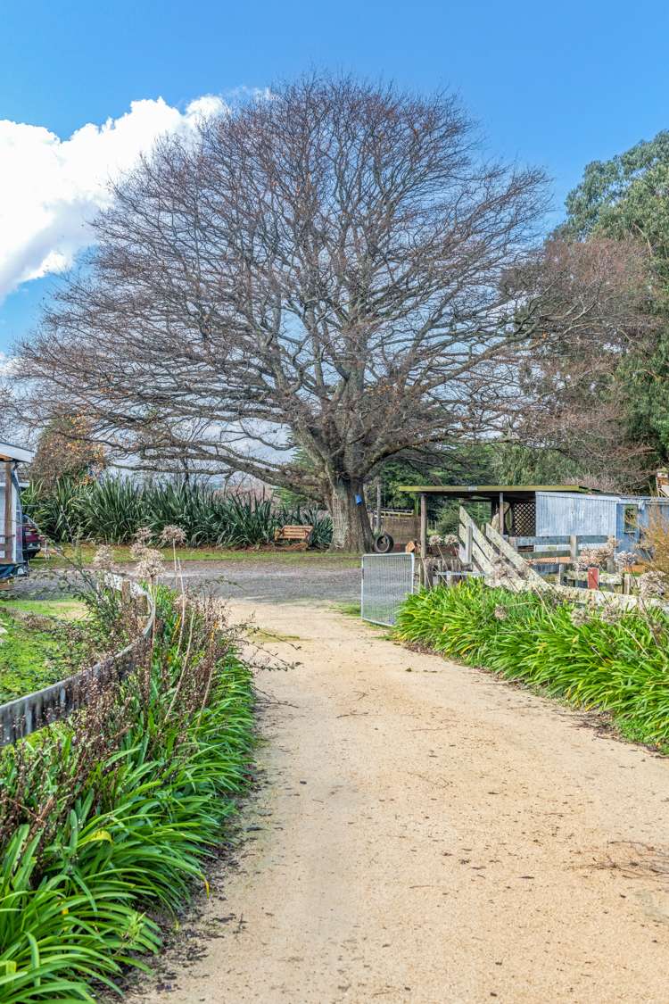 688 Scarborough Road Pahiatua_14
