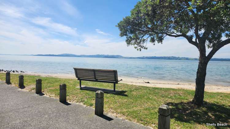 21 Omana Avenue Helensville_23