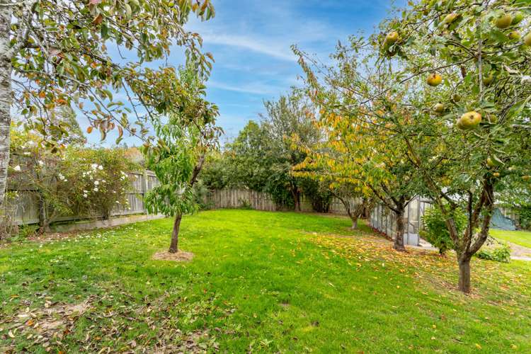 14 Brough Street Palmerston_29