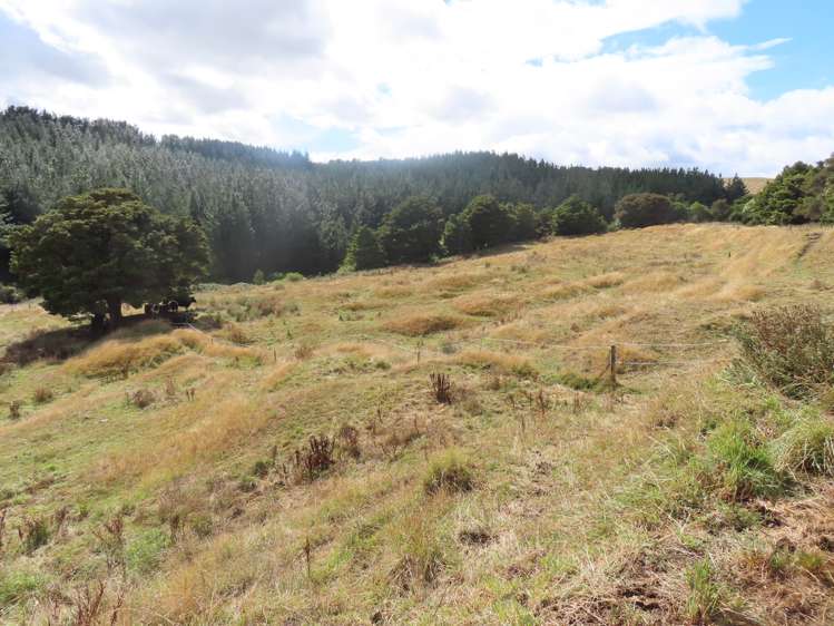 507 Otope Road Dannevirke_17