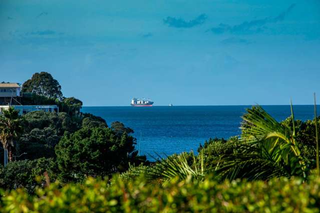 2/3 Seaview Road Milford_1