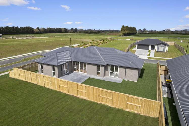 22 Buxton Crescent Matamata_15