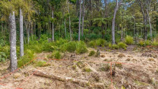 252 Piha Road Piha_4