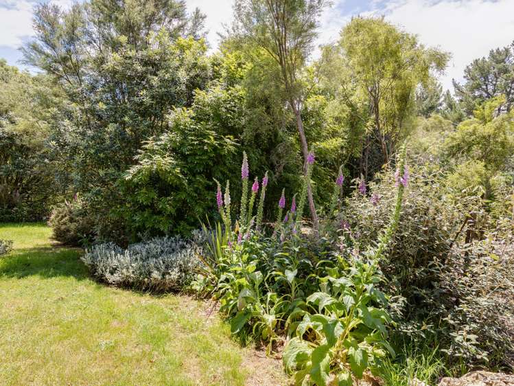 113 Norfolk Road Carterton_16