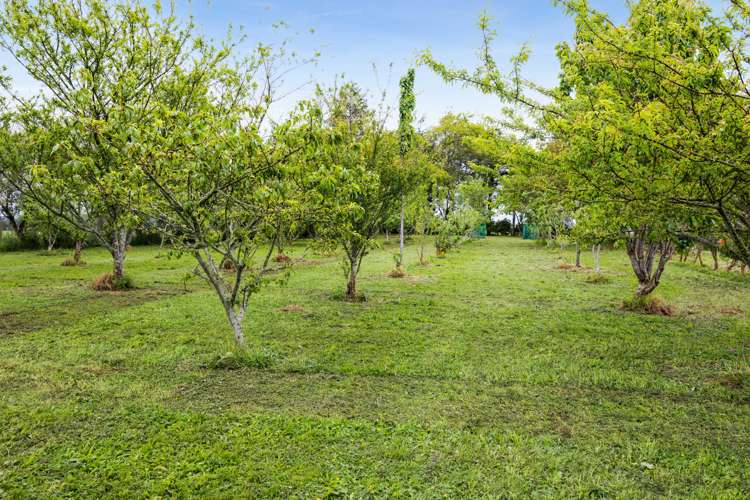 306 Upper Stuart Road Eltham_12