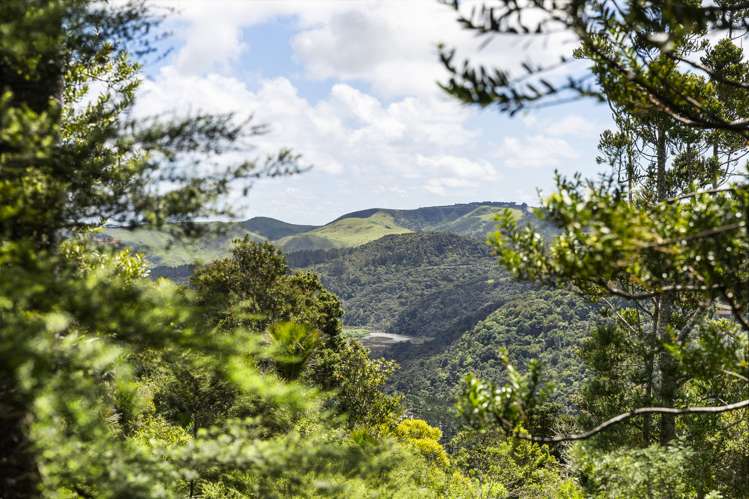 13 Te Aute Ridge Road Waitakere_17