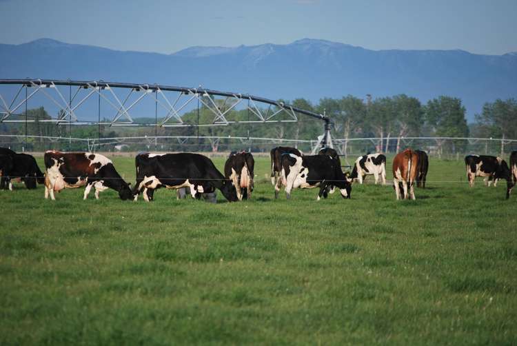 28 Toner Road Temuka_5