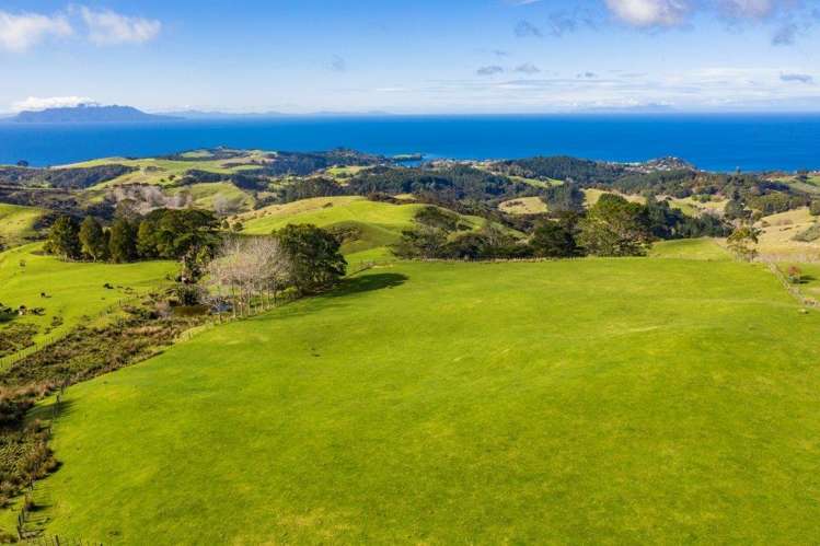 Lot 2 Rodney Road, Whangateau Leigh_6