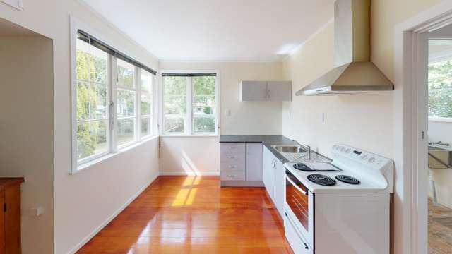 643 Featherston Street Roslyn_1