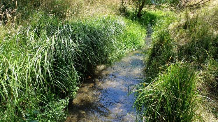 156 Geraldine Fairlie Highway Fairlie_29