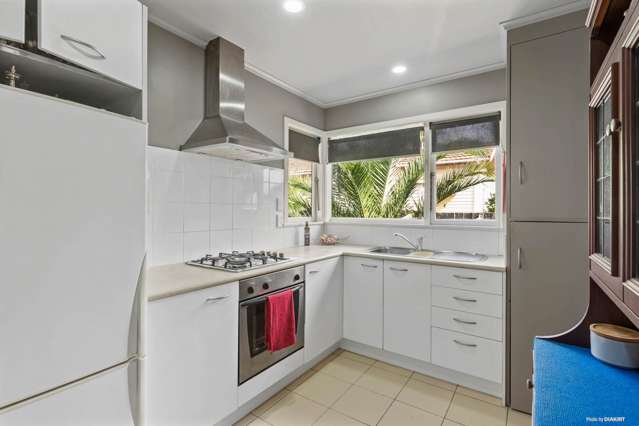 1b Hazel Avenue Mount Roskill_3