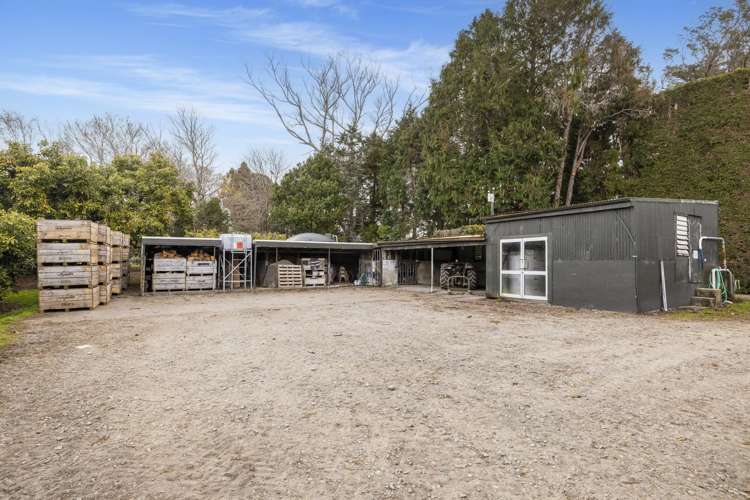44 Walker Road West Katikati_33
