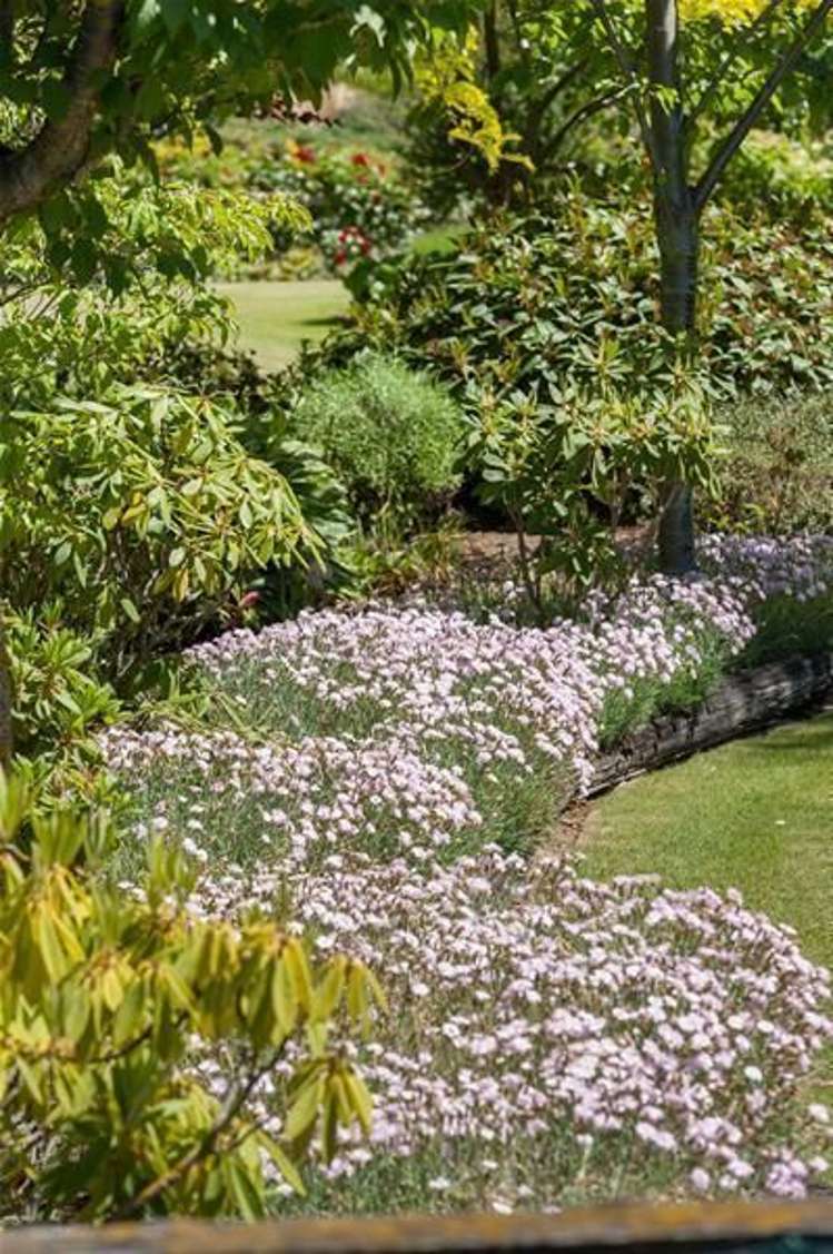 24 Bell Avenue Cromwell_29