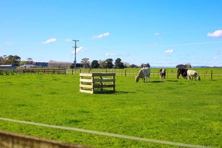 435 Western Line Brunswick_19