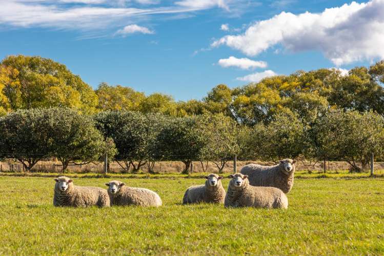 2154 State Highway 1 Spring Creek_18