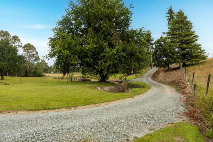 84 Cover Street Lumsden_39