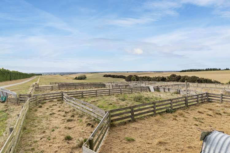 479 South Boundary Road Waitohi_5