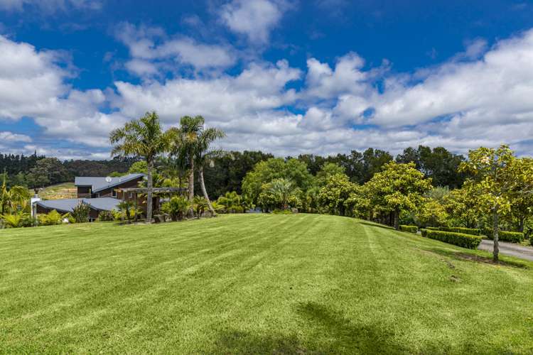 99 Potter Road Dairy Flat_17