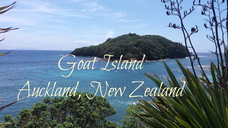 10 Sophia Road Mahurangi East_9