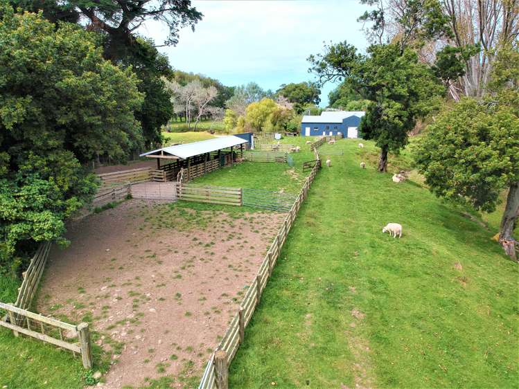 414 Te Apiti Road Elsthorpe_15