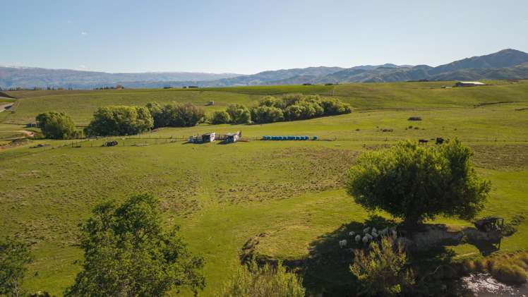 421 Nelsen Ridge Road Alexandra_12