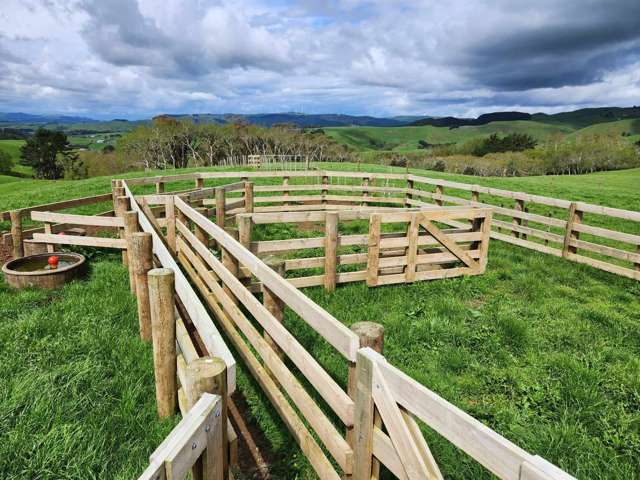 697 Maungatawhiri Road Raglan_2