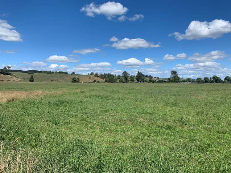 State Highway 29 Matamata_8