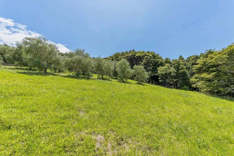 27 Poplar Glade Mangawhai Heads_17