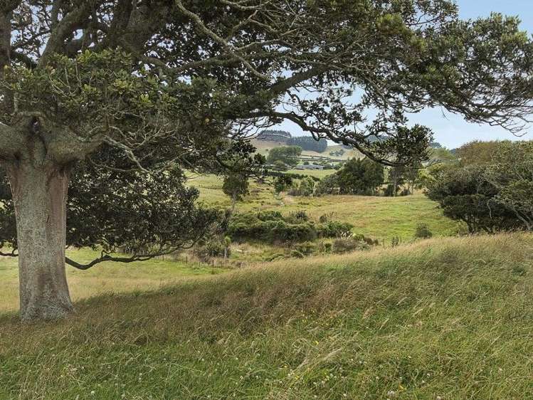 214a Kaipo Flats Road Onewhero_14