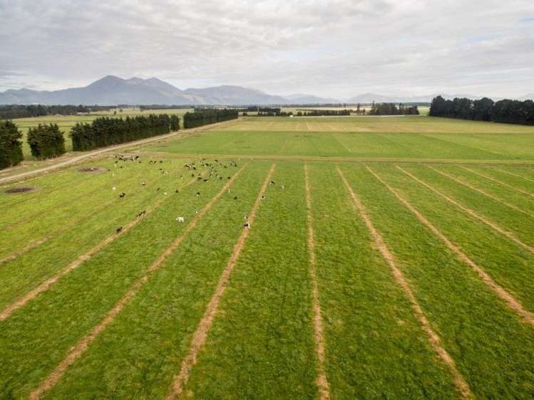 293 Hackthorne Road Carew_15