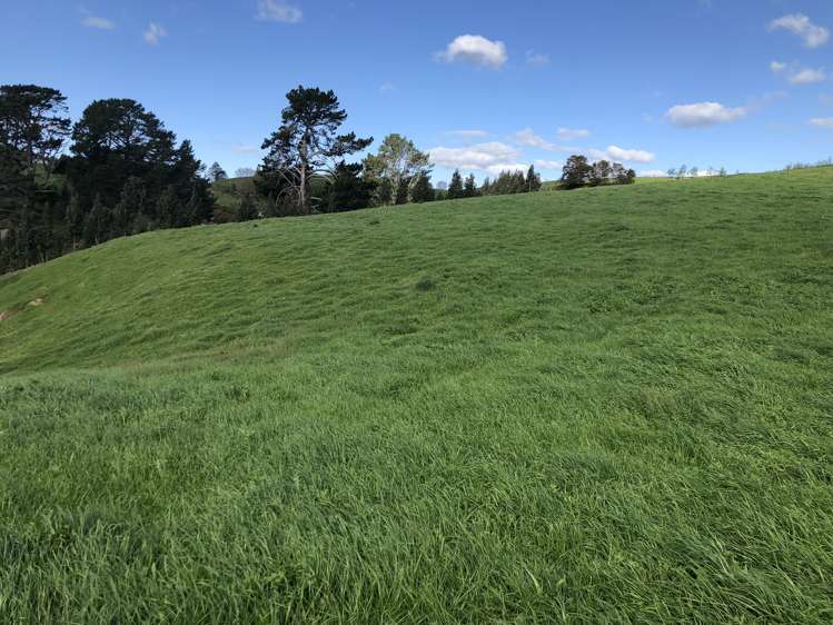 428 Whatauri Road Wharepapa South_18