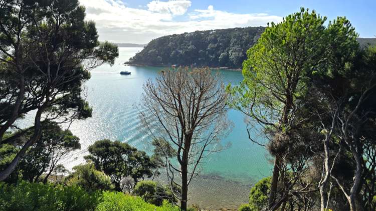 Lot 172 North Cove Kawau Island_6