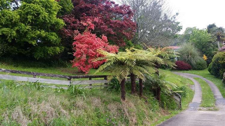 2 Lawlor Street Te Kuiti_10